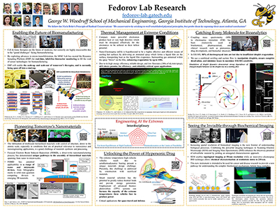 Fedorov MISC Lab Research Overview